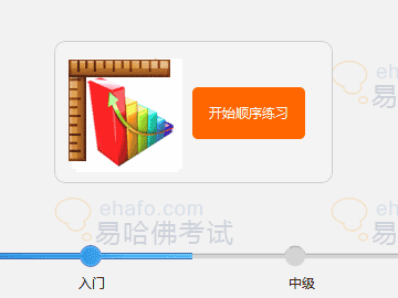 国际注册内审师_国际内审师的收入(2)