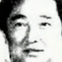 赵心水