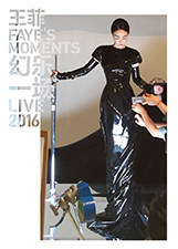 王菲幻乐一场纪录片