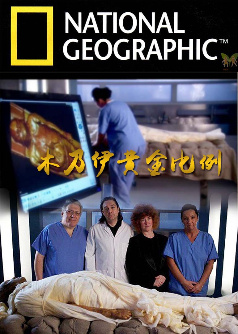 ľ�����ƽ����