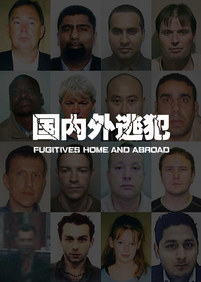 国内外逃犯第1集