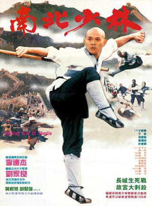 南北少林martial arts of shaolin电影