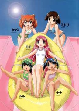 天使的尾巴第二季