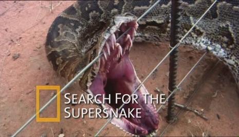 国家地理杂志超级大蛇nationalgeographicsearchforthesupersnake电影