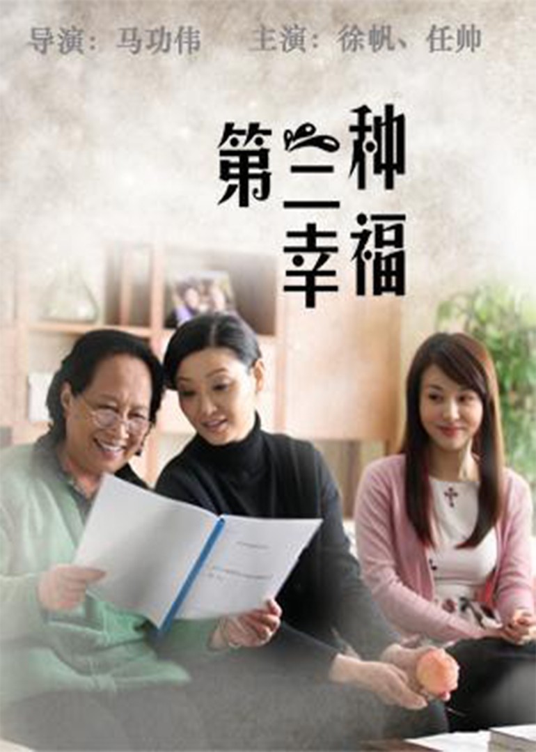 第三种幸福(普通话/原版/2014)电视剧