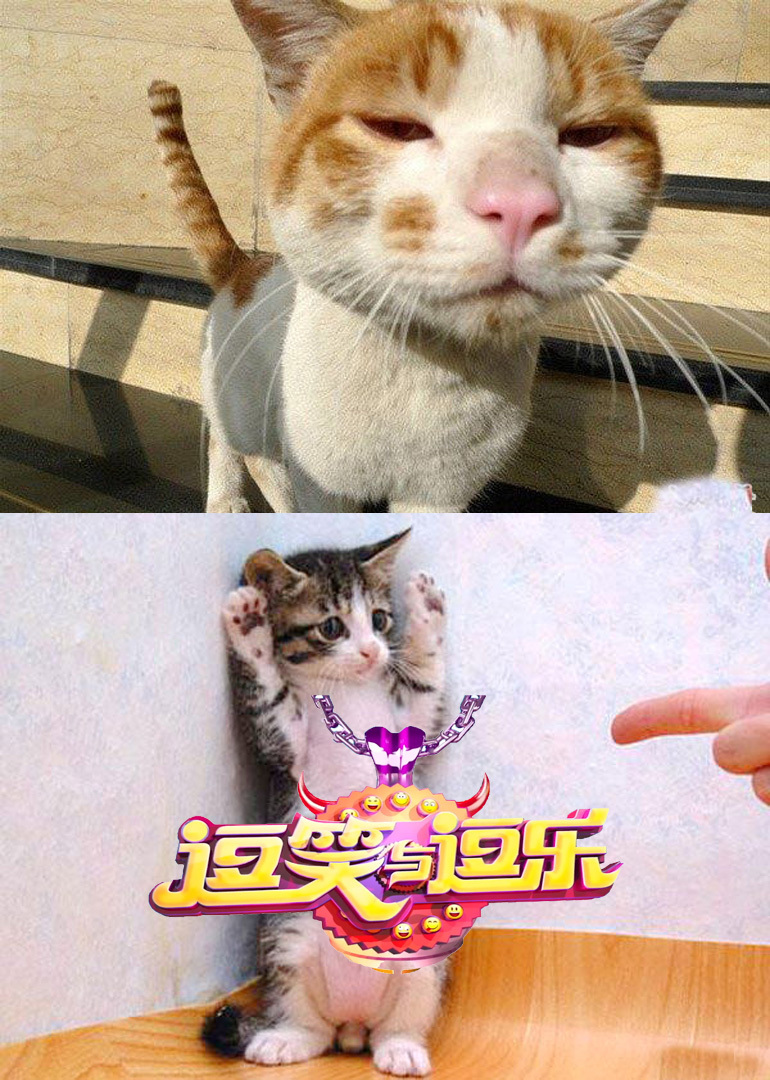 逗笑与逗乐