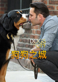 狗在都市/狗狗在都市/狗狗之城