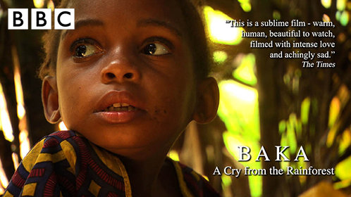 巴卡族：来自热带雨林的呐喊_巴卡族：来自热带雨林的呐喊_高清完整版视频在线观看_腾讯视频