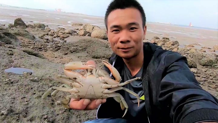 阿烽和阿雄比赛赶海,阿烽专门放生阿雄海货,把阿雄急