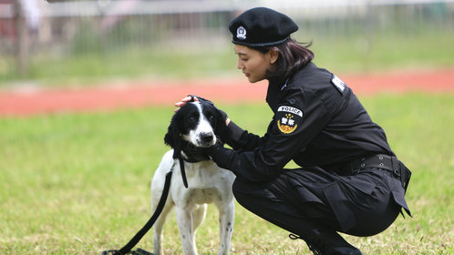 警花与警犬