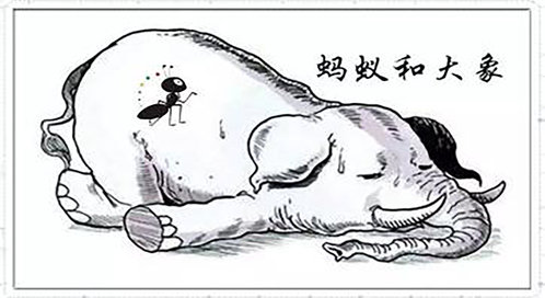 蚂蚁和大象__高清完整版视频在线观看_腾讯视频