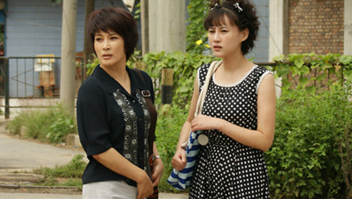 养女电视剧演员表