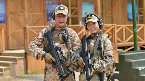 特种兵之火凤凰全集免费下载：完整剧情一览无余 (特种兵之火凤凰免费观看全集)