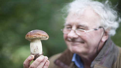 蘑菇的魔力蘑菇的魔力_高清完整版视频在线观看_腾讯视频