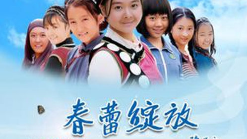 春蕾绽放