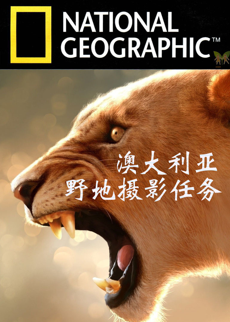 �Ĵ�����Ұ����Ӱ����