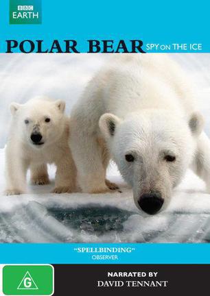 北极熊:冰上侦探polar bear spy on the ice电影