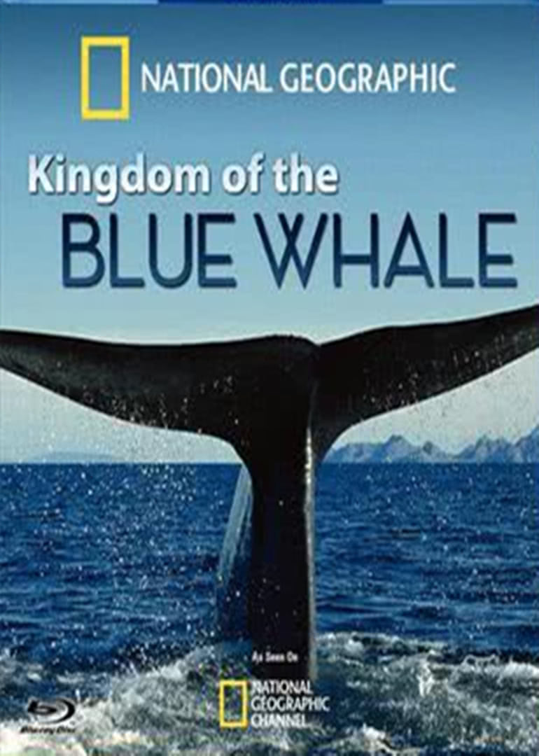 kingdom of the blue whale