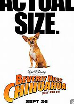 比佛利拜金狗3beverly hills chihuahua 3电影