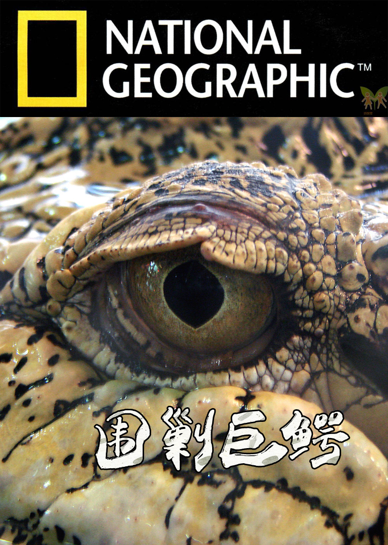 腾讯视频