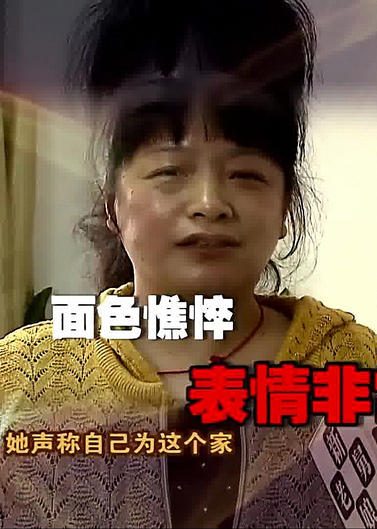 新老娘舅