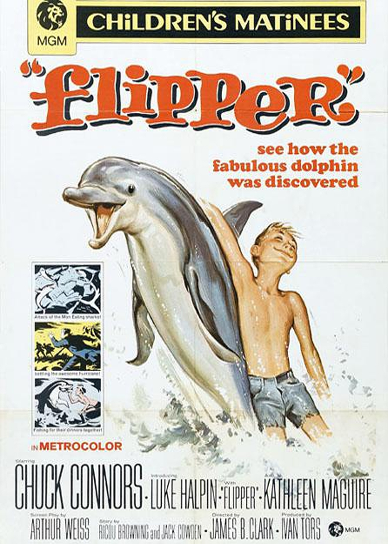 海豚飞宝flipper电影