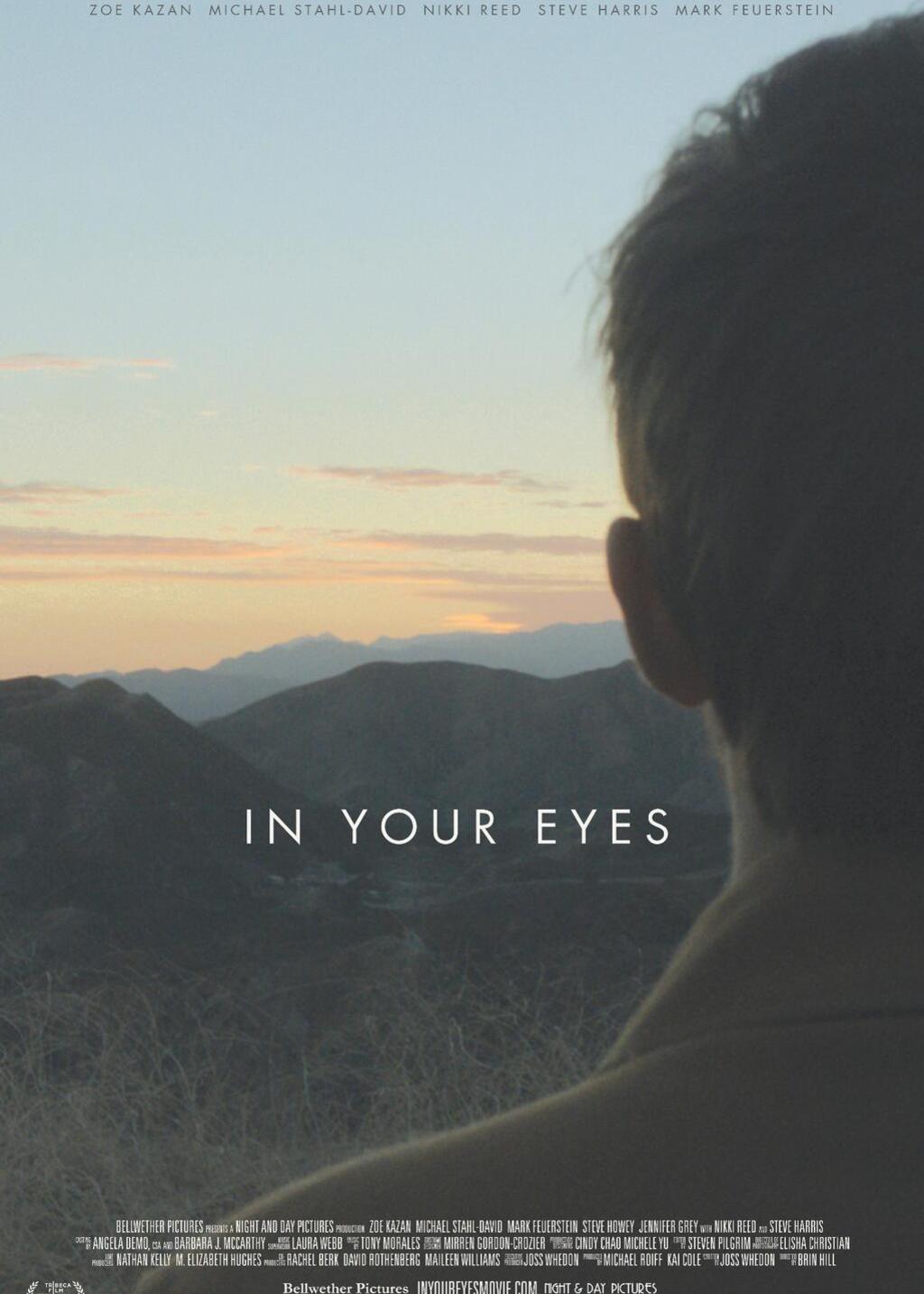 你眼中的世界 in your eyes r(2014)