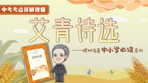 第05集《艾青诗选》：雪落在中国的土地上，中小学必读名著_高清