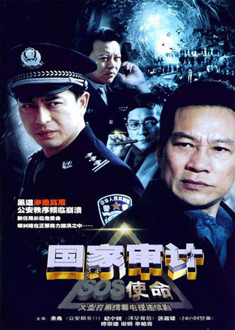 电视剧国家审计的观后感5篇