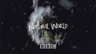 BBC自然世界封面