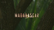 马达加斯加岛封面