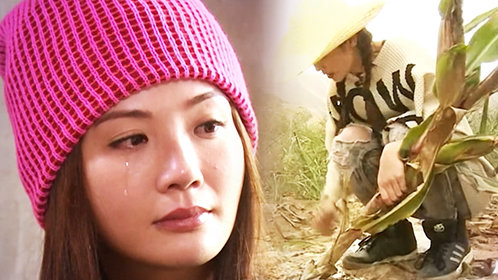 《囍从天降》未播:贾玲反串窦娥她爹 梦丽奇葩亮相