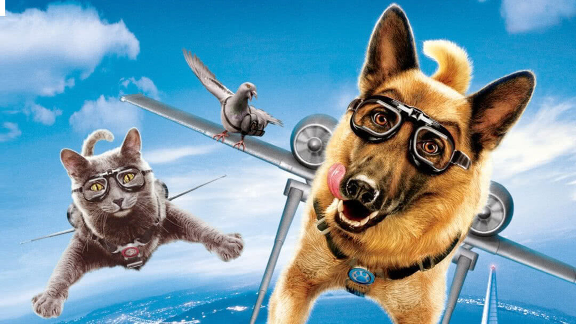 A Dog’s Purpose Poster 12: 高清原图海报 | 金海报-GoldPoster