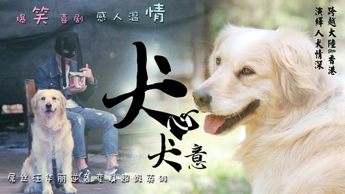 犬心犬意