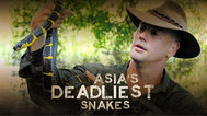 亚洲最致命毒蛇封面