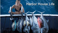 Harbor House Life2016封面