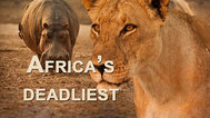 非洲最致命动物封面