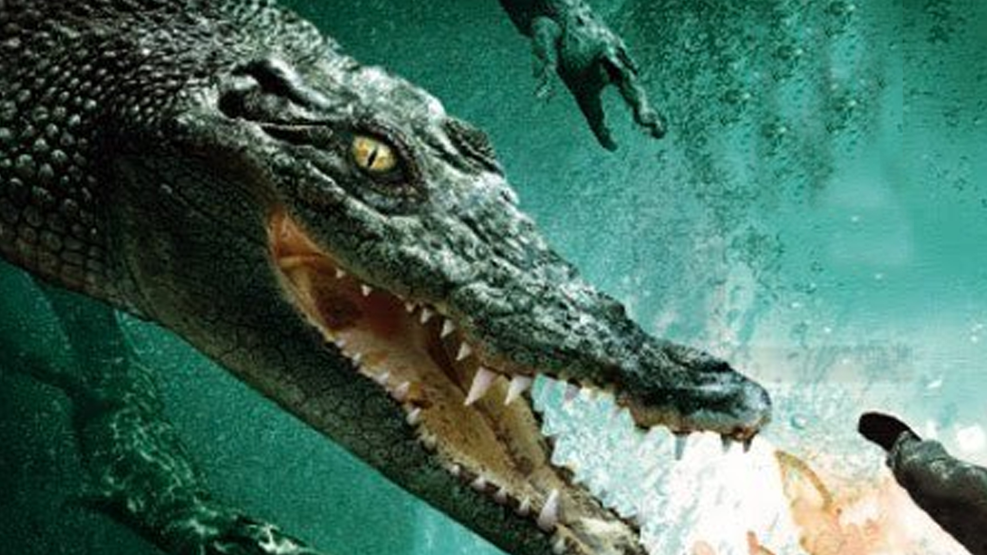 海上电影-《百万巨鳄》海报