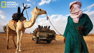 撒哈拉：沙漠精灵封面