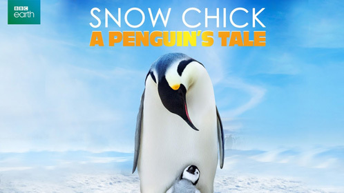雪宝：一个小企鹅的传奇故事封面
