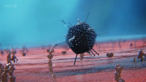 《人体奥妙之细胞的暗战》预告片_电影_高清1080p在线观看平台_腾讯