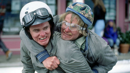 《阿呆和阿瓜2》先导预告 金·凯瑞逗比喜剧来袭_电影_高清1080p在线