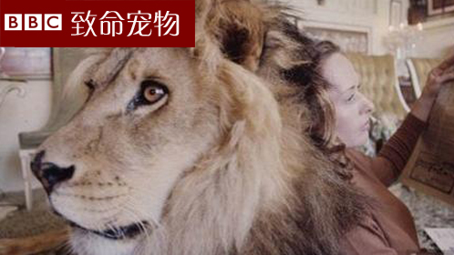 致命宠物第3季