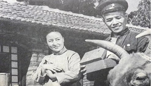 锦上添花