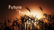 食物的未来