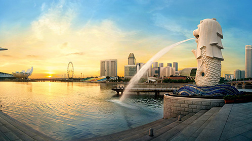 新加坡之旅封面