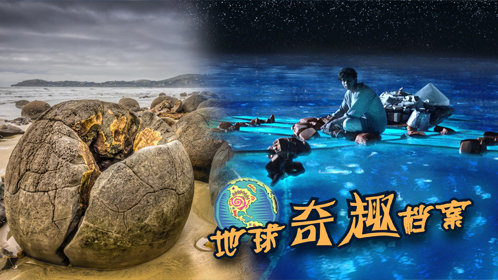 《地球奇趣档案》沙滩现密密麻麻"蓝宝石" 当地居民不敢捡_高清1080p