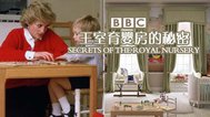 BBC英国王室育婴房的秘密封面