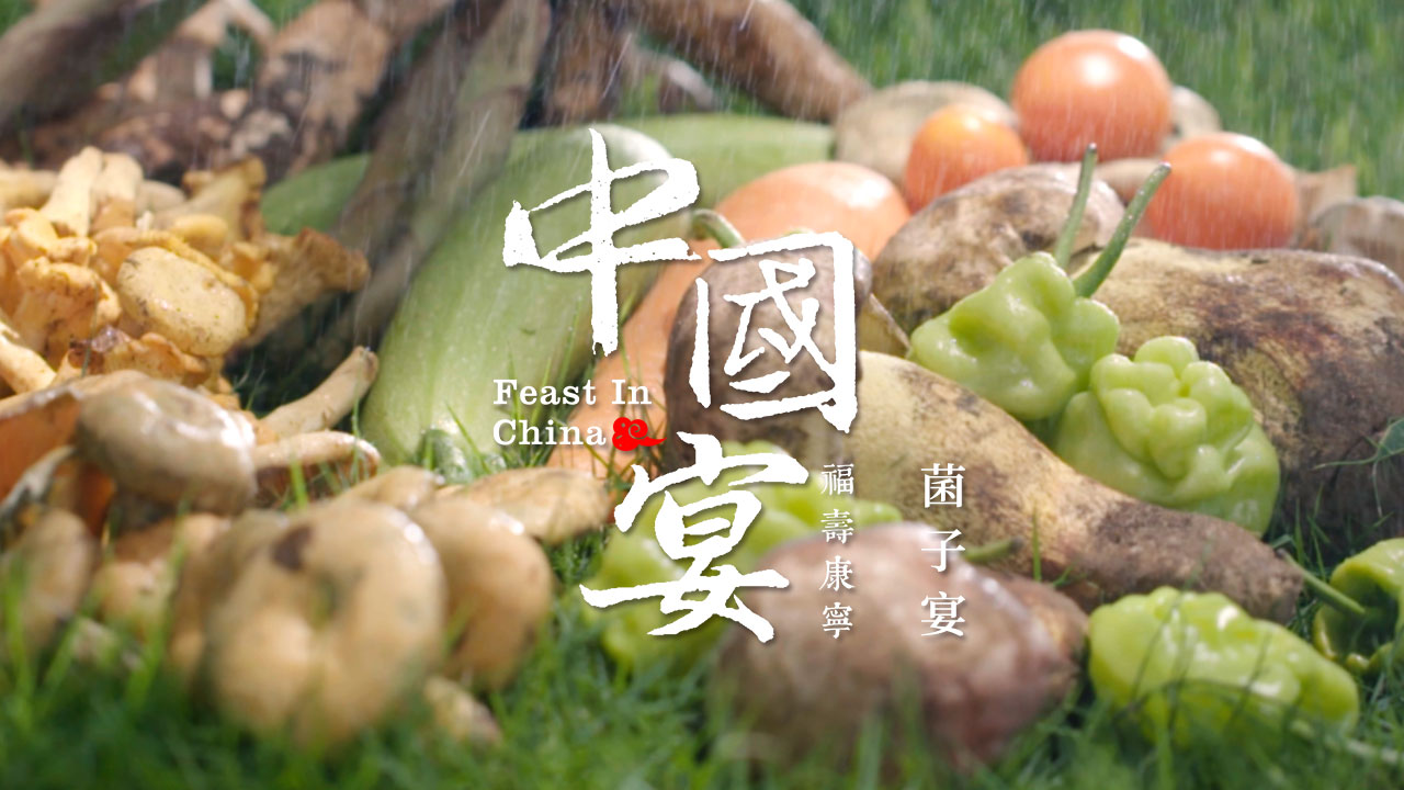 菌子宴·壹 滇峰之上的山珍美味_中国宴·福寿康宁_腾讯视频