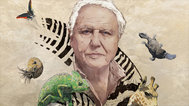 BBC大卫爱登堡的自然珍品封面